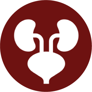 1744781994_Icon 21.png